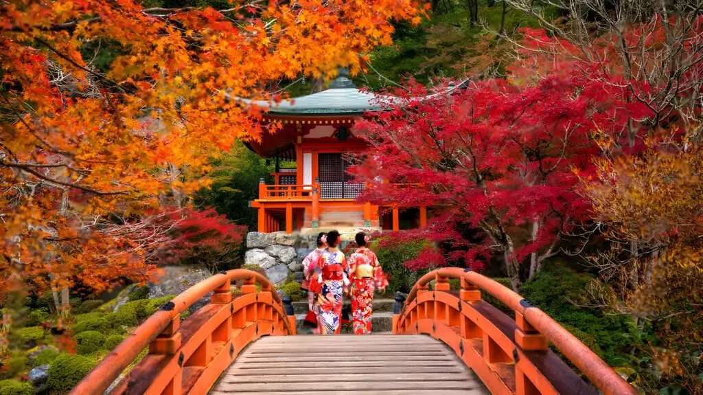 Kyoto, Japan  | best destination for solo travelers