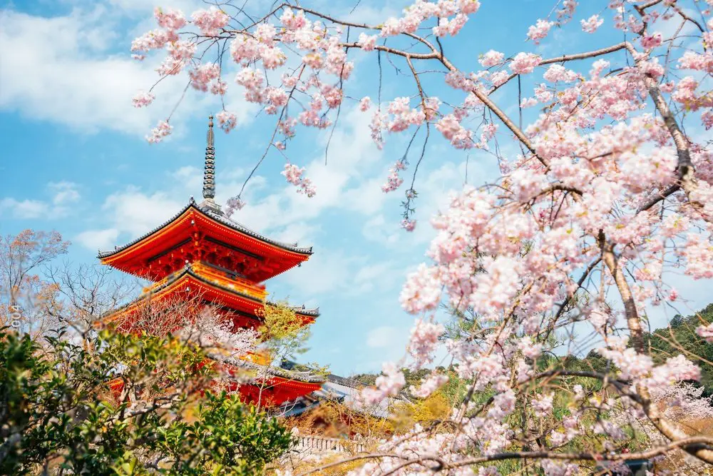 Kyoto Japan, Best place for alone women