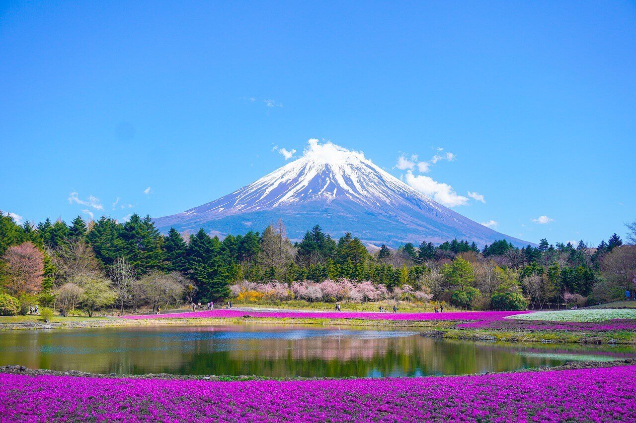 Japan | endless travel lifestyles